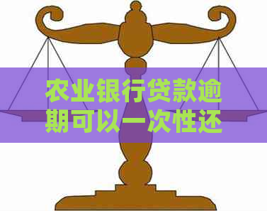农业银行贷款逾期可以一次性还本吗