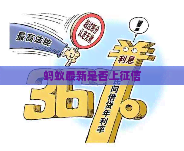 蚂蚁最新是否上