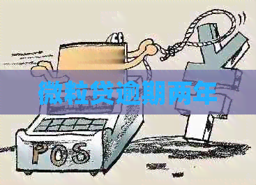微粒贷逾期两年