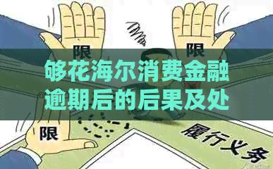 够花海尔消费金融逾期后的后果及处理方式