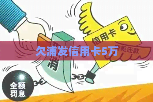 欠浦发信用卡5万