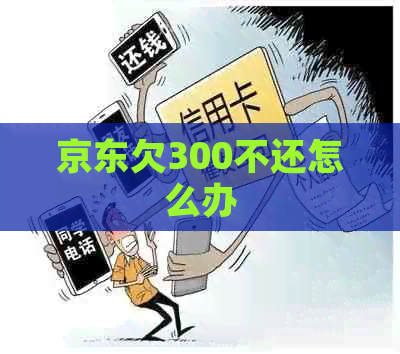 京东欠300不还怎么办