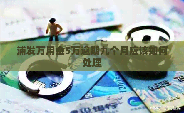 浦发万用金5万逾期九个月应该如何处理