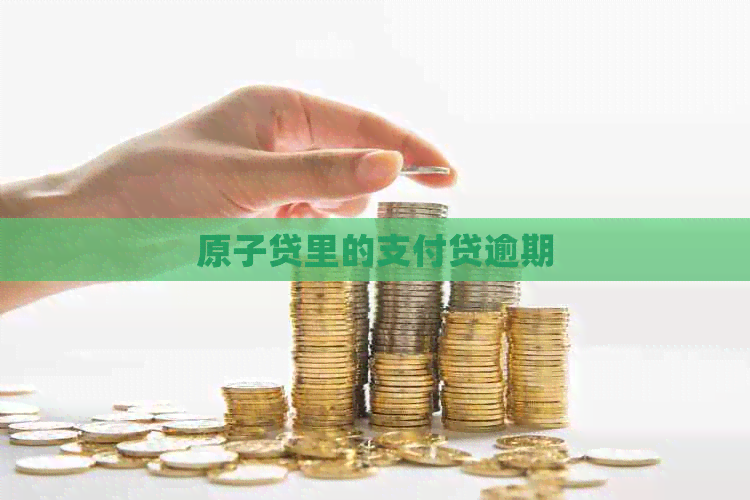原子贷里的支付贷逾期