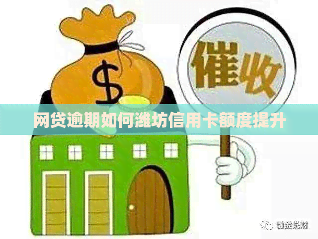 网贷逾期如何潍坊信用卡额度提升