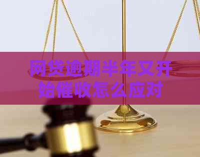 网贷逾期半年又开始怎么应对