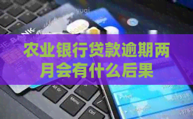 农业银行贷款逾期两月会有什么后果