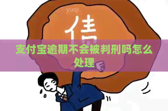 信用卡逾期不会被判刑吗怎么处理