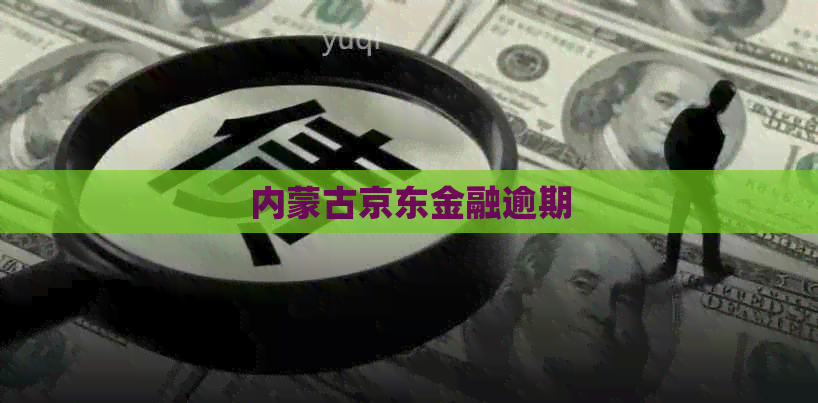 内蒙古京东金融逾期
