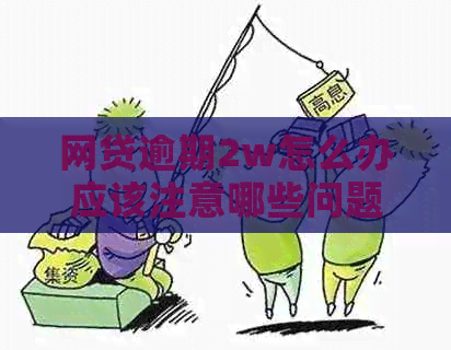 网贷逾期2w怎么办应该注意哪些问题