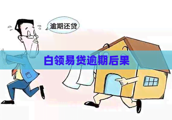白领易贷逾期后果
