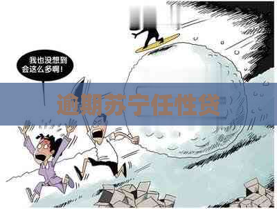 逾期苏宁任性贷