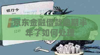 京东金融借款逾期半年了如何处理