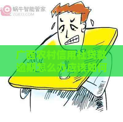 广西农村信用社贷款逾期怎么办应该如何处理