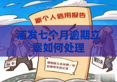 浦发七个月逾期立案如何处理