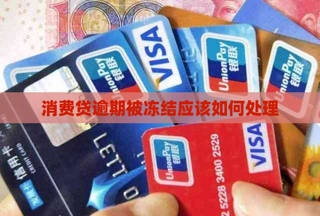 消费贷逾期被冻结应该如何处理