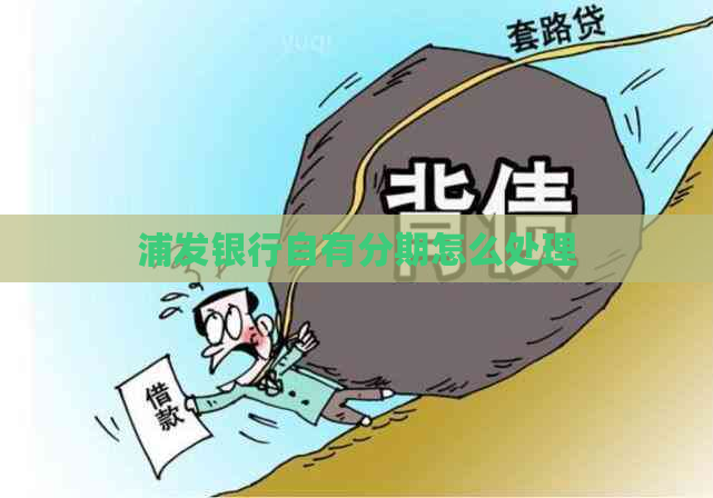 浦发银行自有分期怎么处理
