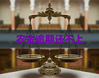 农金逾期还不上