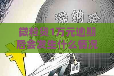 微粒贷1万元逾期后会发生什么情况