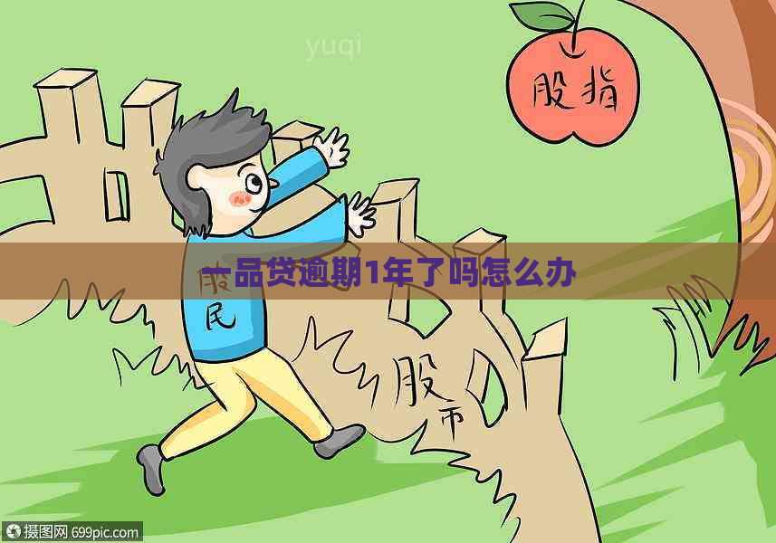 一品贷逾期1年了吗怎么办