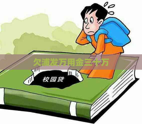 欠浦发万用金三十万