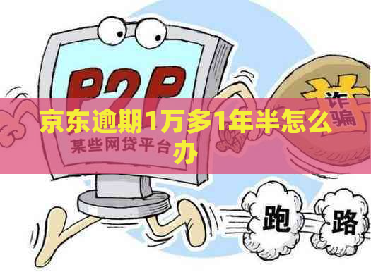 京东逾期1万多1年半怎么办