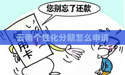云南个性化分期怎么申请