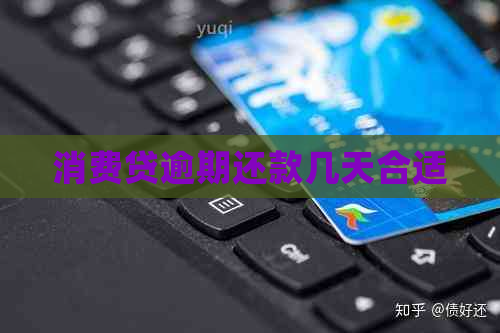 消费贷逾期还款几天合适