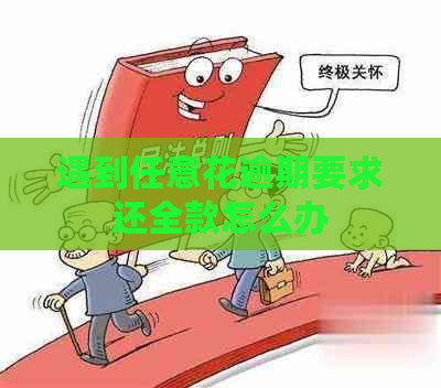 遇到任意花逾期要求还全款怎么办