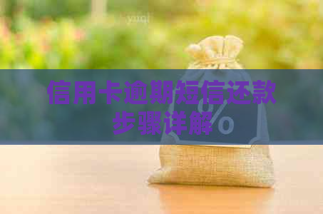 信用卡逾期短信还款步骤详解