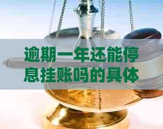 逾期一年还能停息挂账吗的具体规定是什么