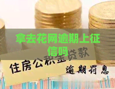 拿去花网逾期上吗