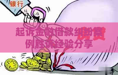 起诉金融借款纠纷案例胜诉经验分享