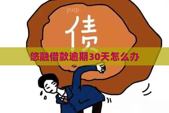 悠融借款逾期30天怎么办