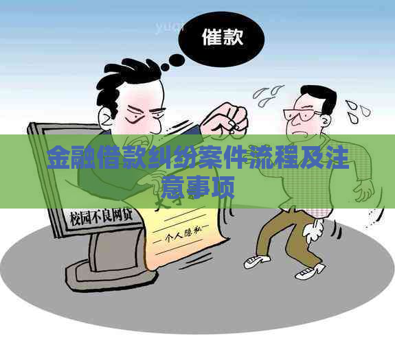 金融借款纠纷案件流程及注意事项