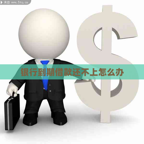 银行到期借款还不上怎么办