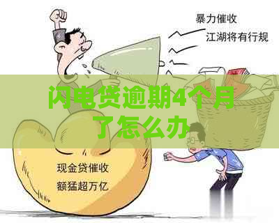 闪电贷逾期4个月了怎么办