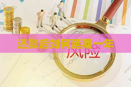 还款后如何延期一年