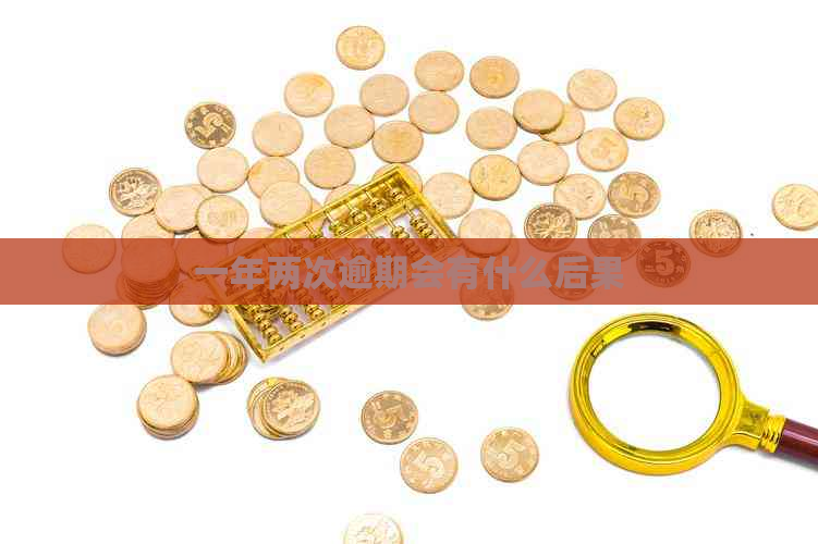 一年两次逾期会有什么后果