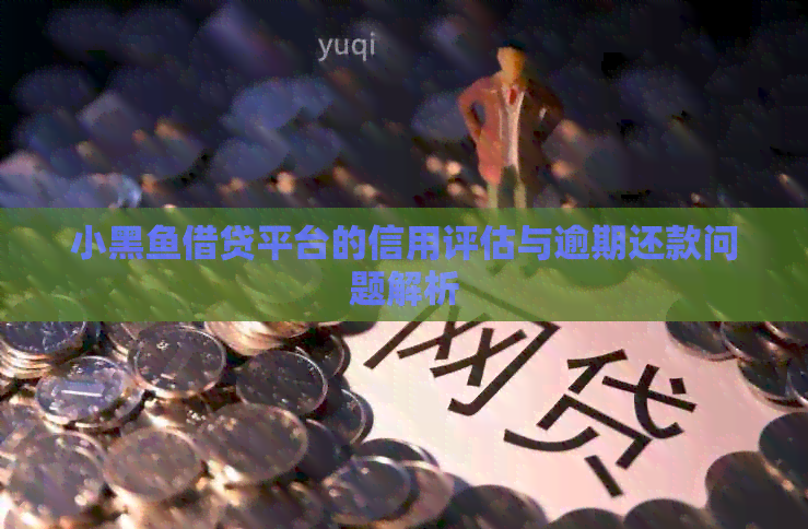 小黑鱼借贷平台的信用评估与逾期还款问题解析