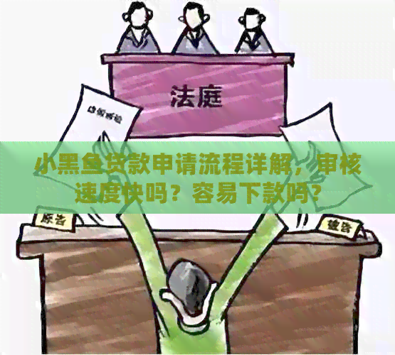 小黑鱼贷款申请流程详解，审核速度快吗？容易下款吗？