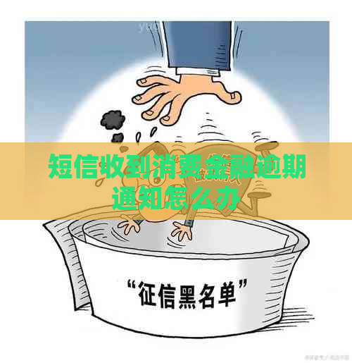 短信收到消费金融逾期通知怎么办