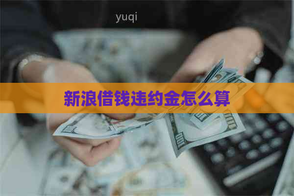 新浪借钱违约金怎么算