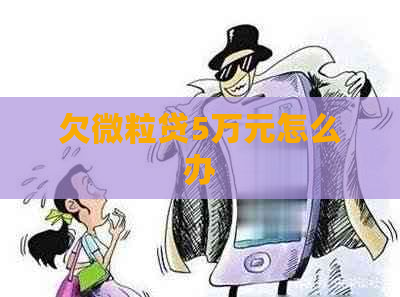 欠微粒贷5万元怎么办