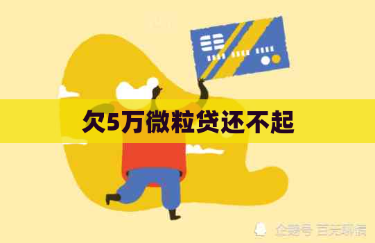 欠5万微粒贷还不起