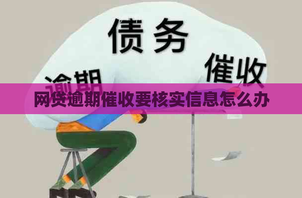 网贷逾期要核实信息怎么办