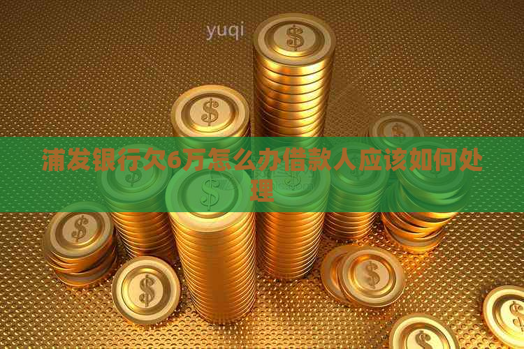 浦发银行欠6万怎么办借款人应该如何处理