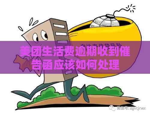 美团生活费逾期收到催告函应该如何处理