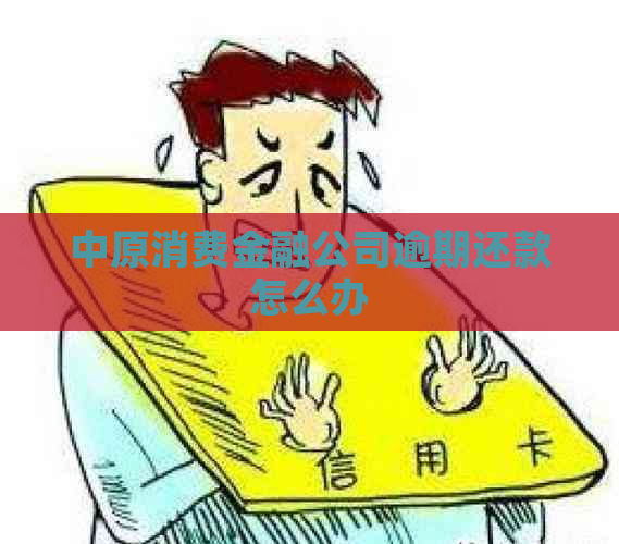 中原消费金融公司逾期还款怎么办
