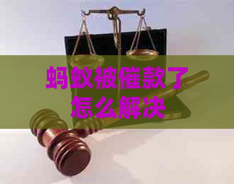 蚂蚁被催款了怎么解决